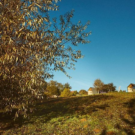 Scandinave Chalet Bran Zărneşti エクステリア 写真