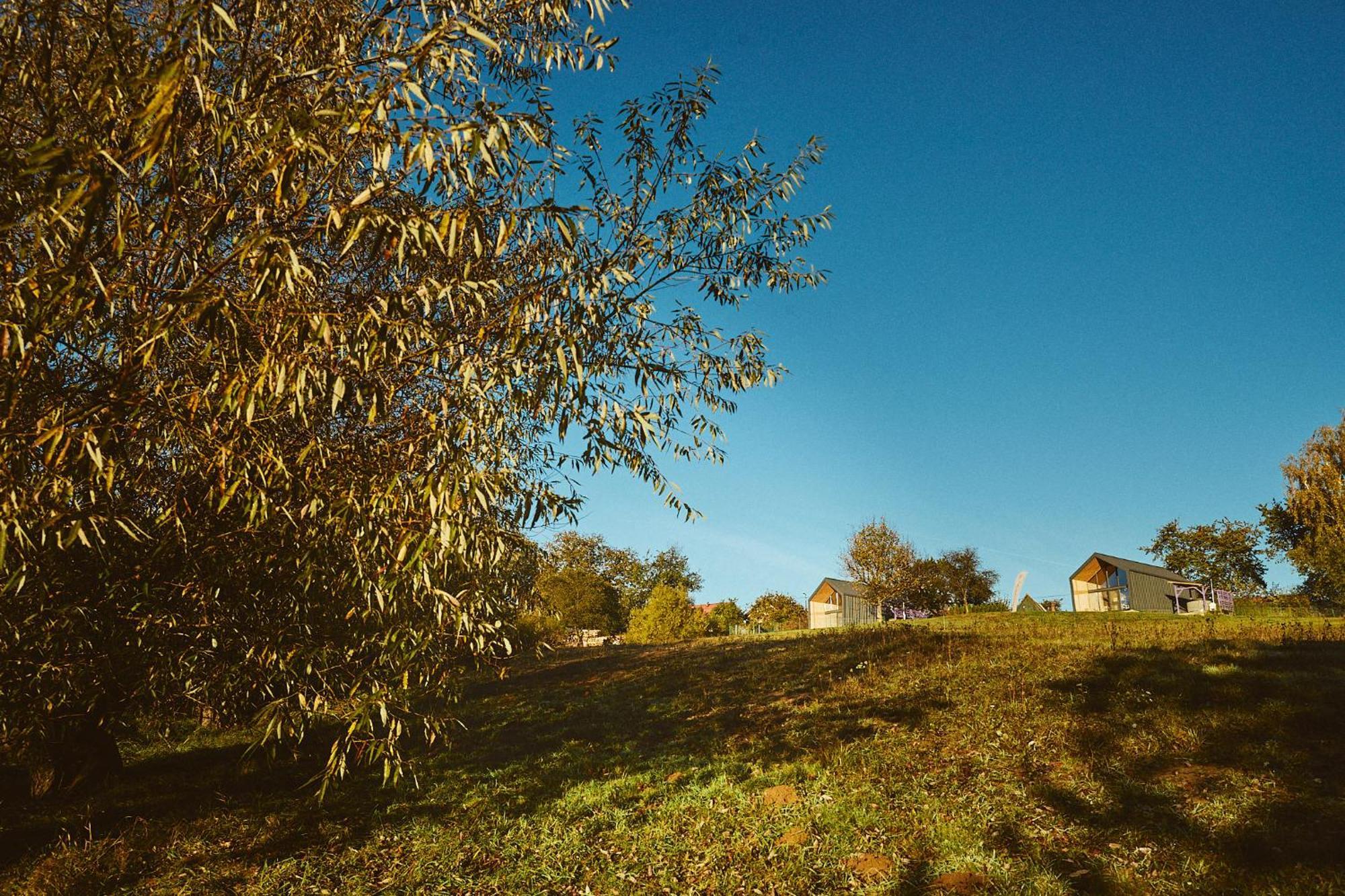 Scandinave Chalet Bran Zărneşti エクステリア 写真
