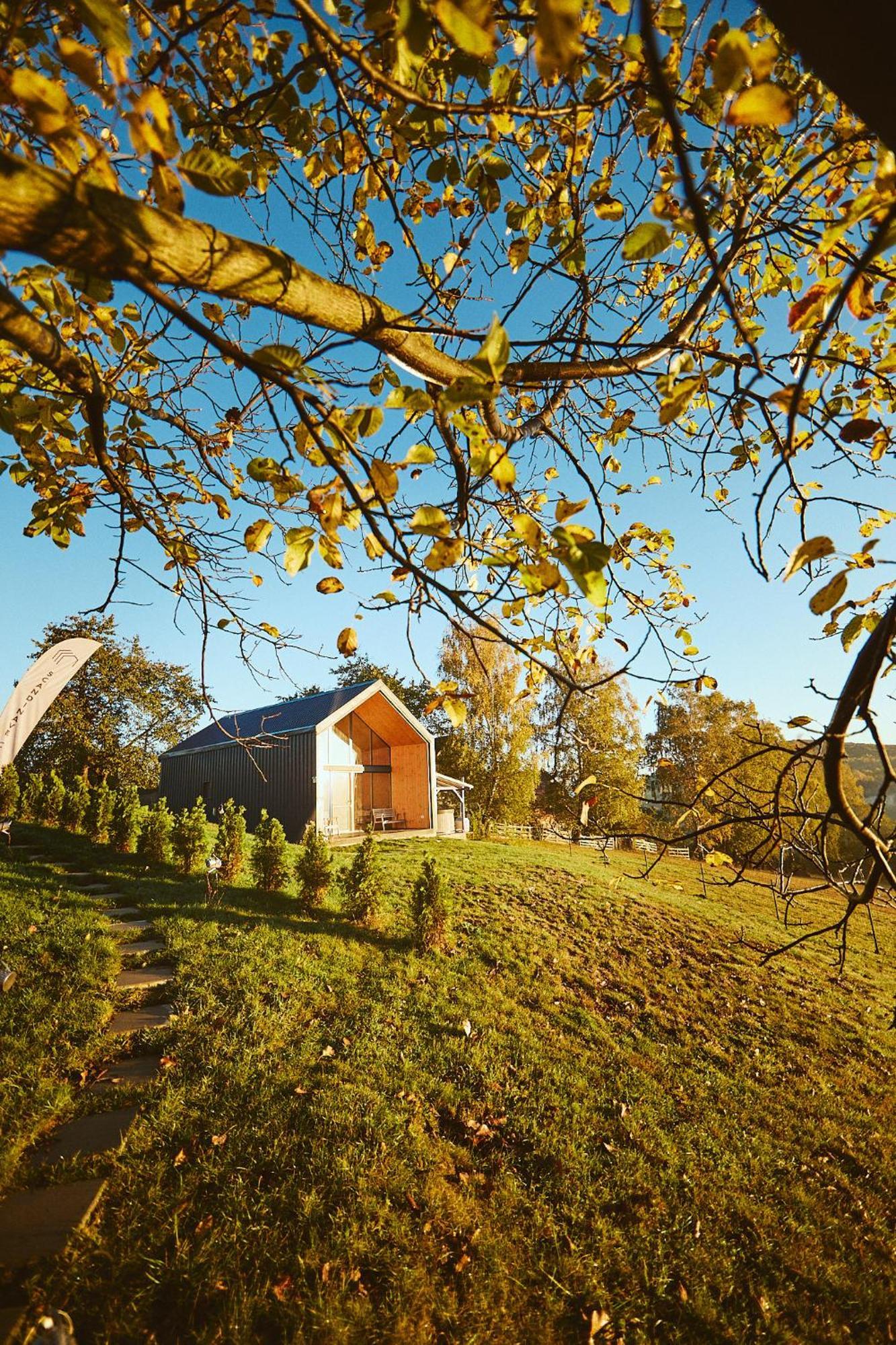 Scandinave Chalet Bran Zărneşti エクステリア 写真