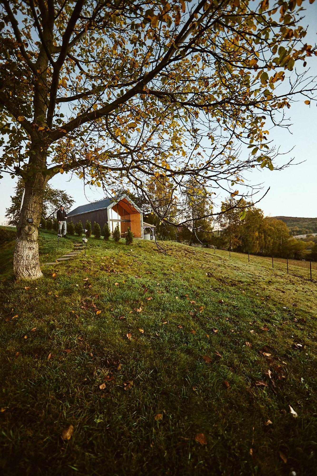 Scandinave Chalet Bran Zărneşti エクステリア 写真