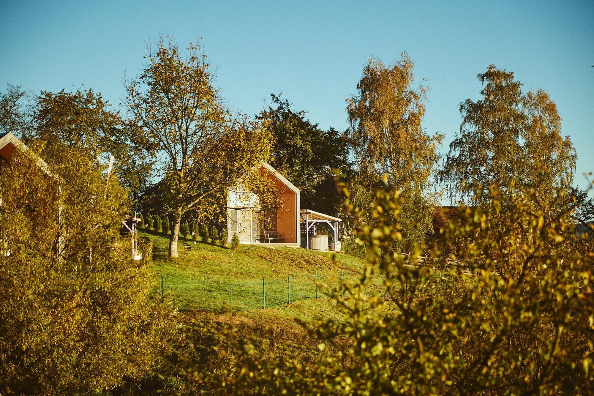 Scandinave Chalet Bran Zărneşti エクステリア 写真