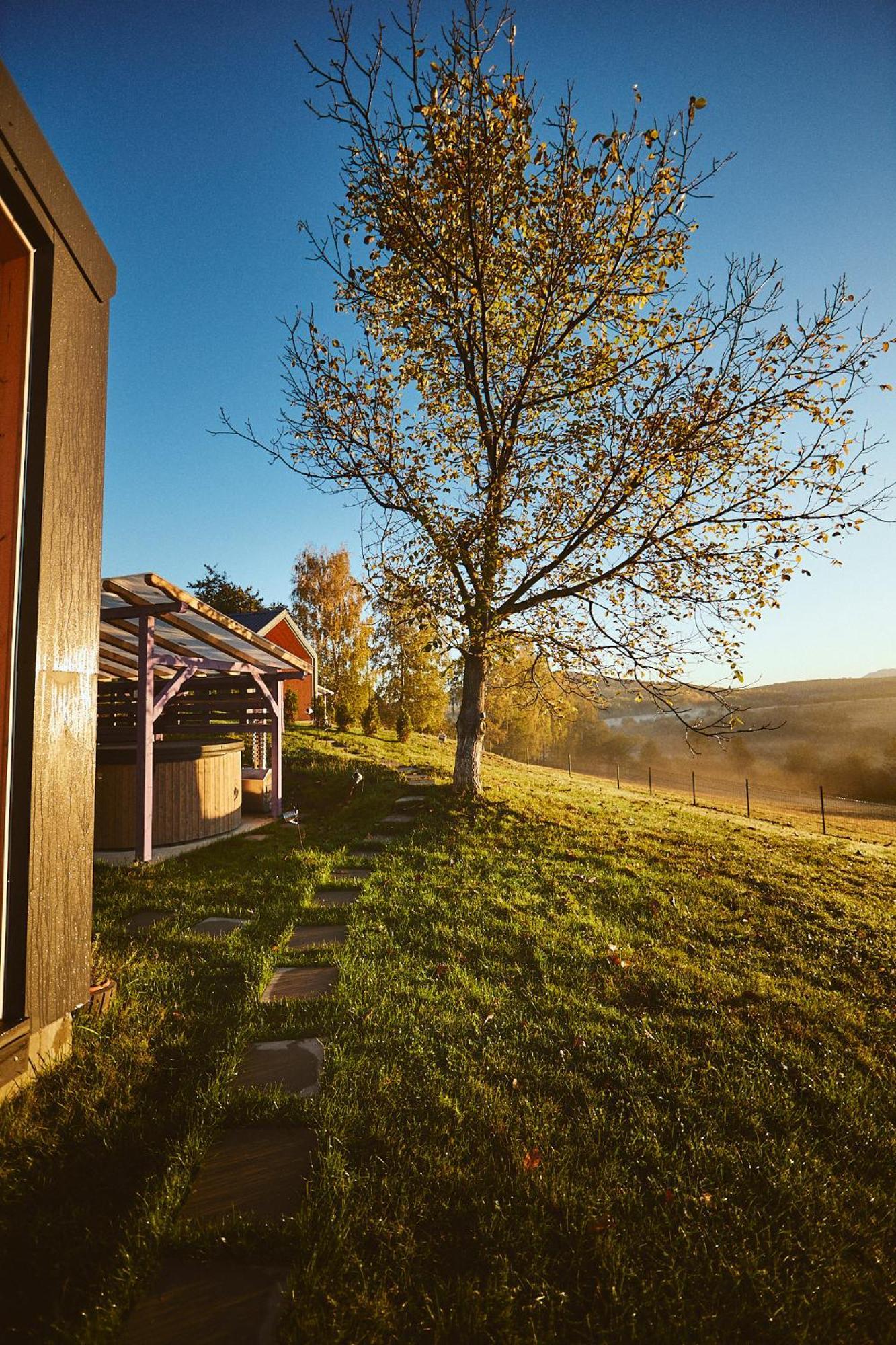 Scandinave Chalet Bran Zărneşti エクステリア 写真