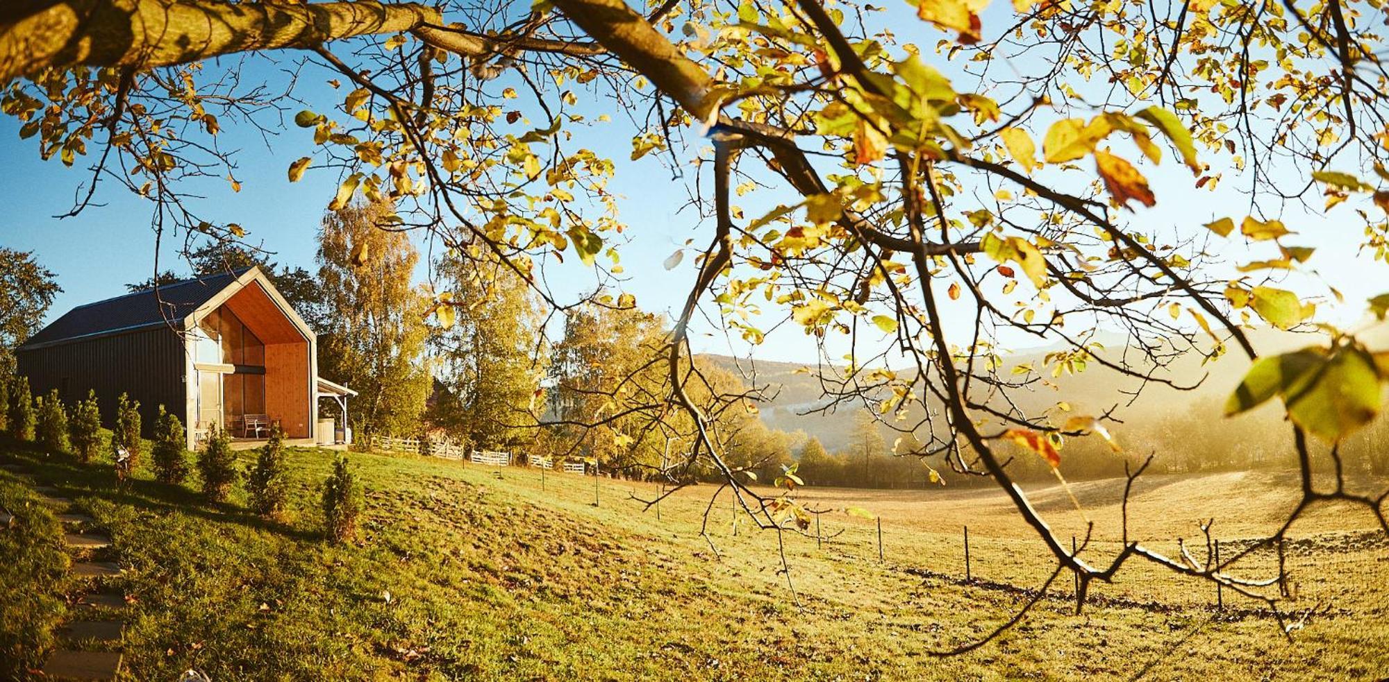Scandinave Chalet Bran Zărneşti エクステリア 写真
