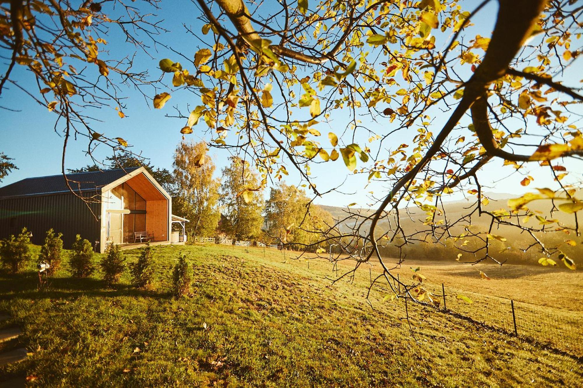 Scandinave Chalet Bran Zărneşti エクステリア 写真