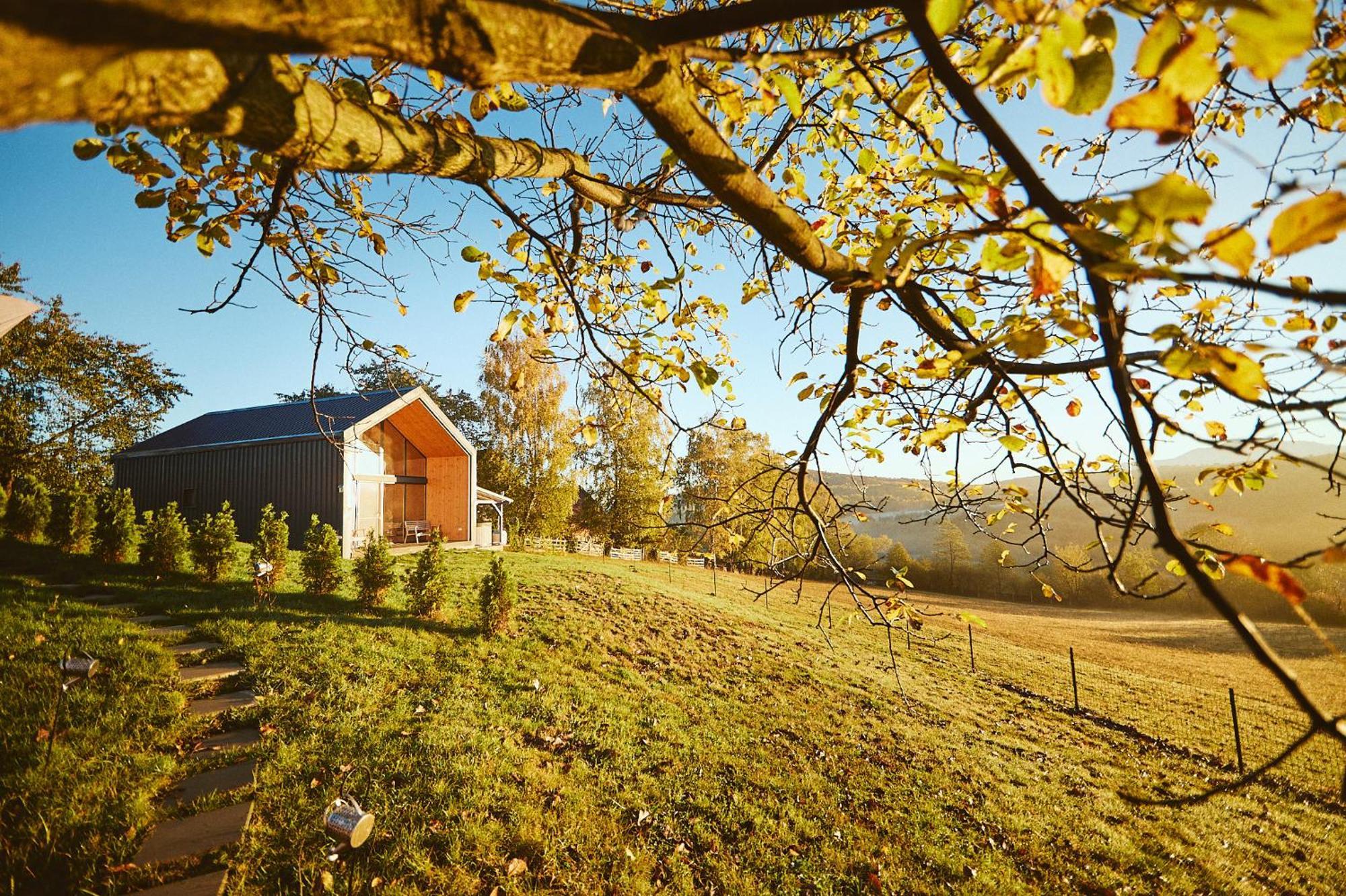 Scandinave Chalet Bran Zărneşti エクステリア 写真