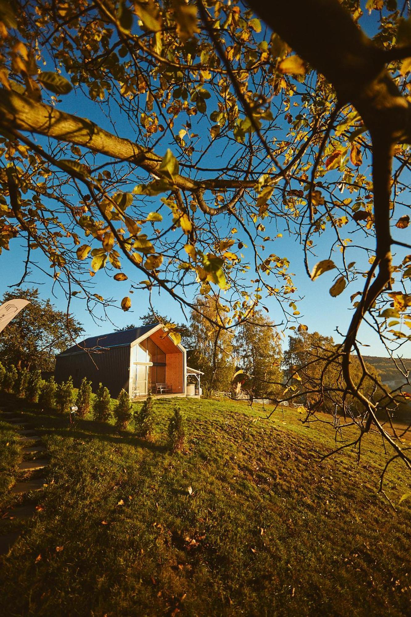 Scandinave Chalet Bran Zărneşti エクステリア 写真