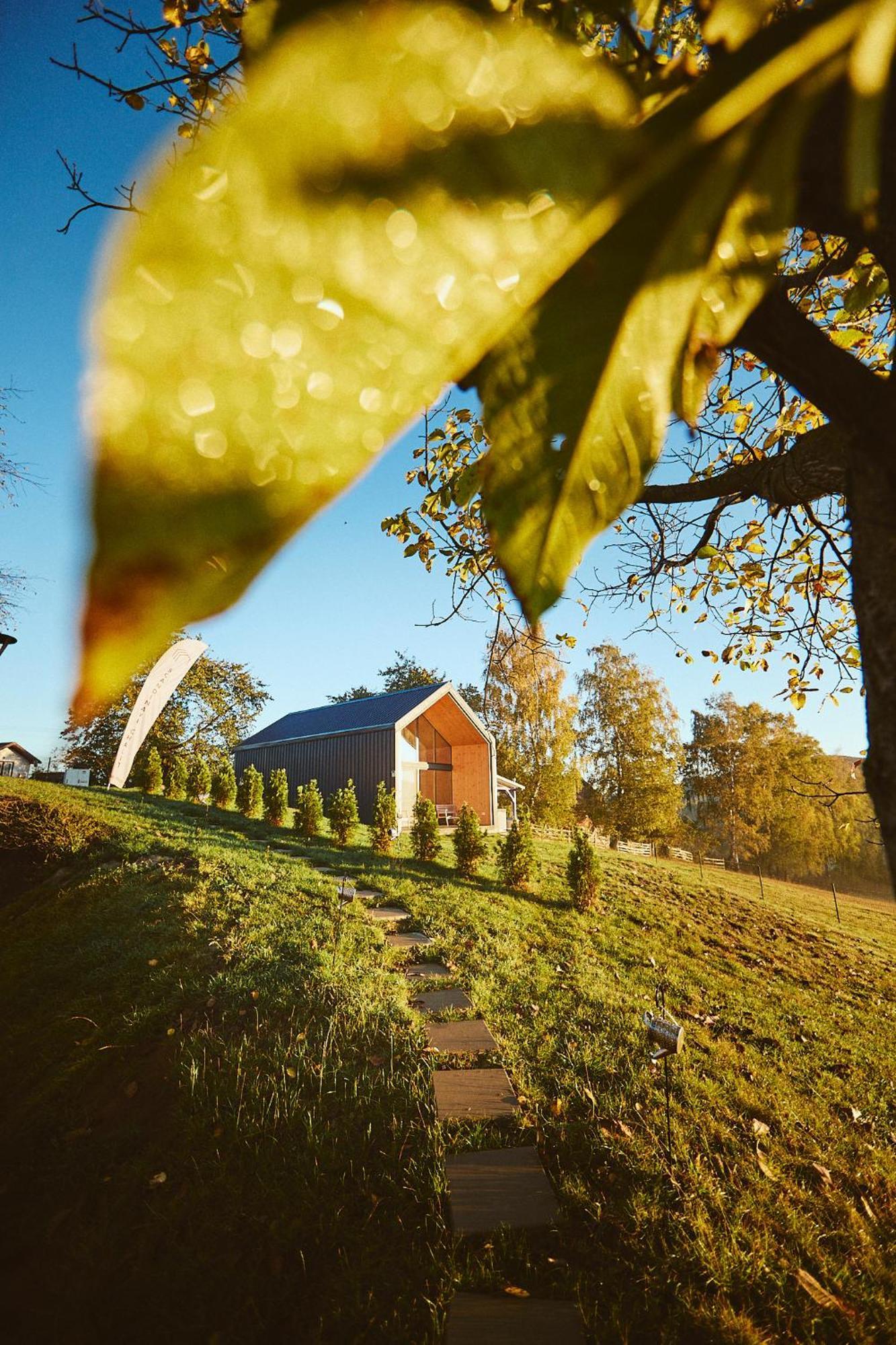Scandinave Chalet Bran Zărneşti エクステリア 写真
